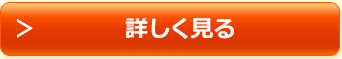 詳しく見る